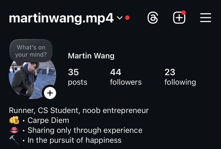 Martin Wang's Instagram profile when he started: 35 posts, 44 followers